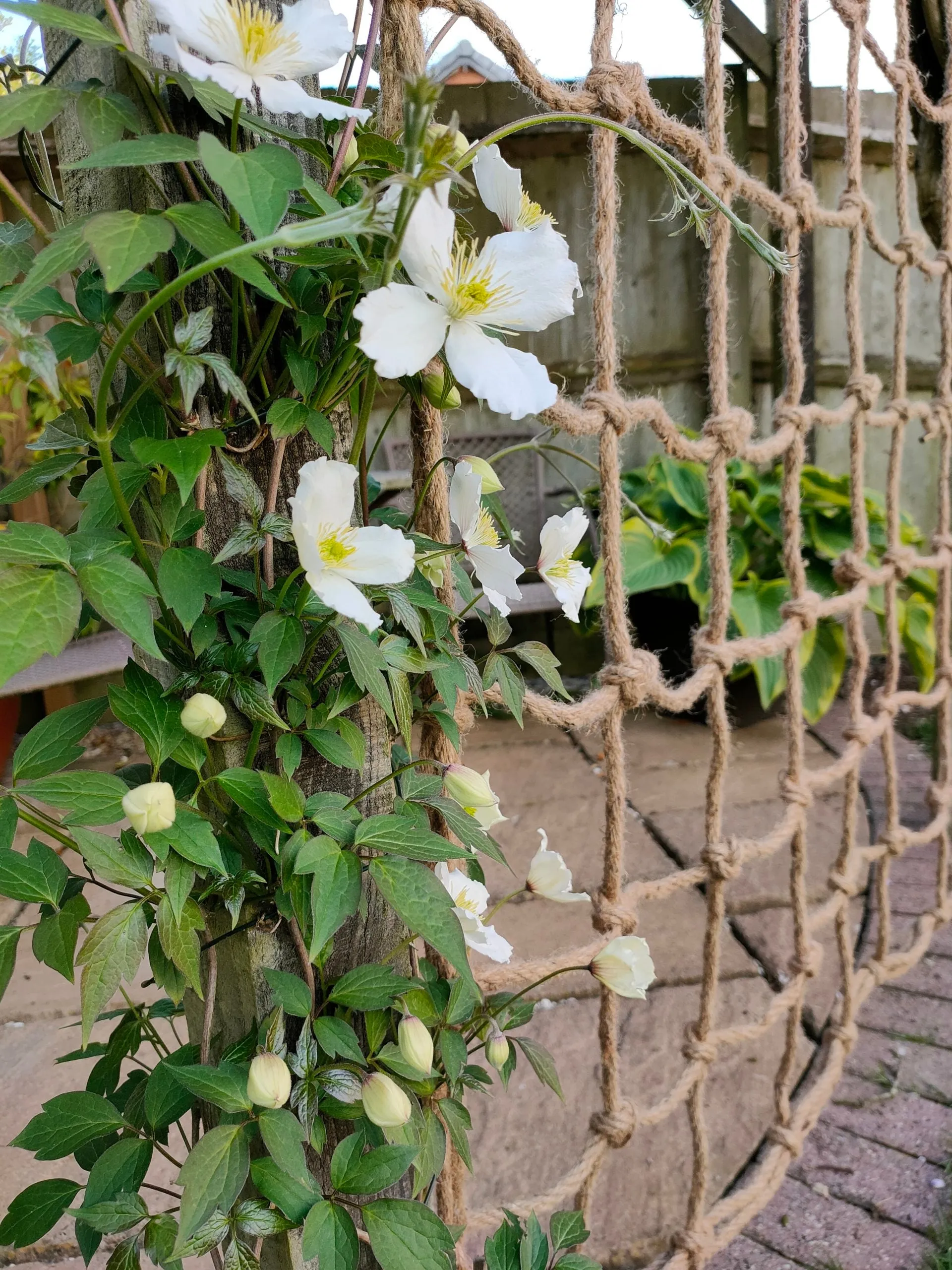 The Good Life Rope Trellis Climbing Plant Support